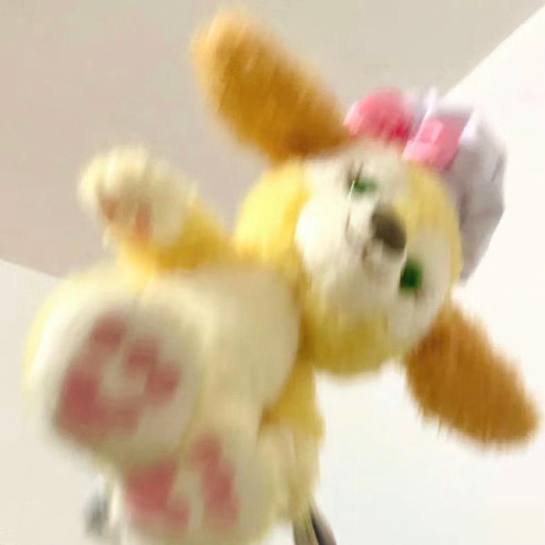 阿里嘎多美羊羊桑