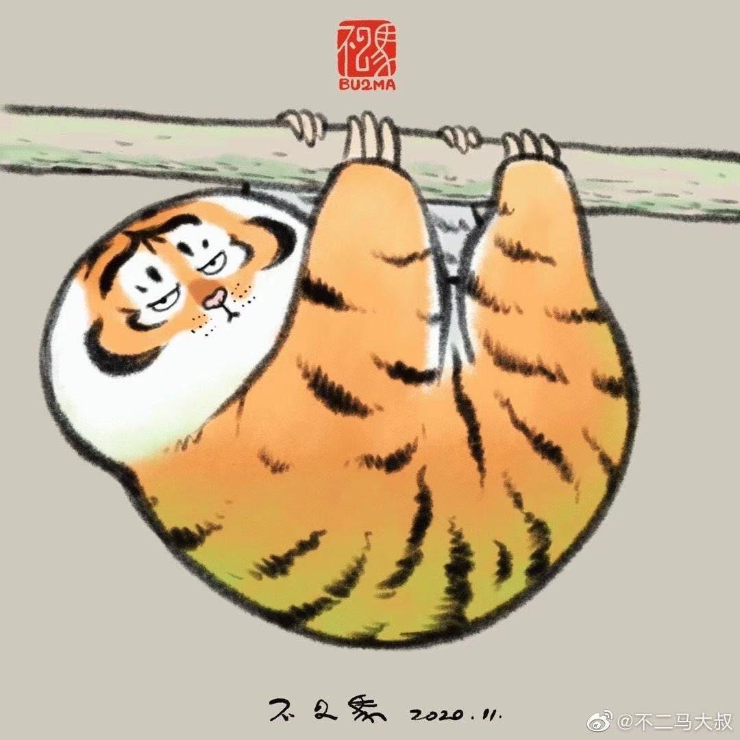 整挺好的热心网友