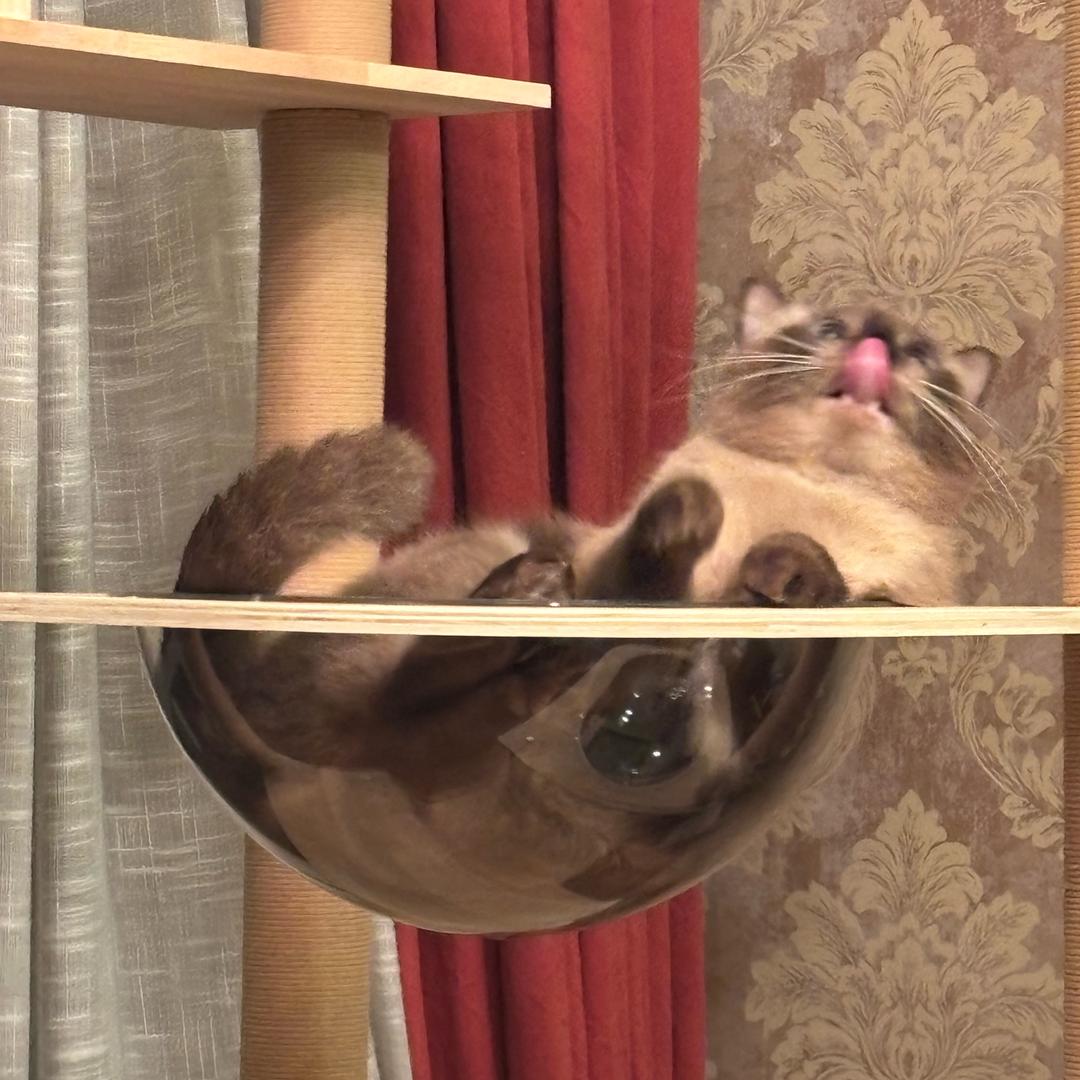 早点睡觉