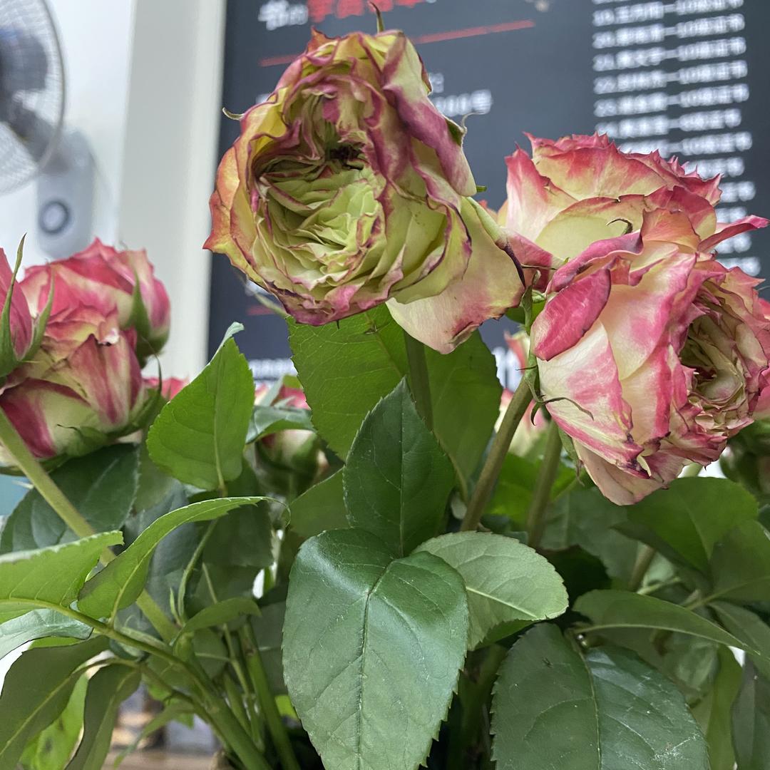 湖南绣特界百货商行