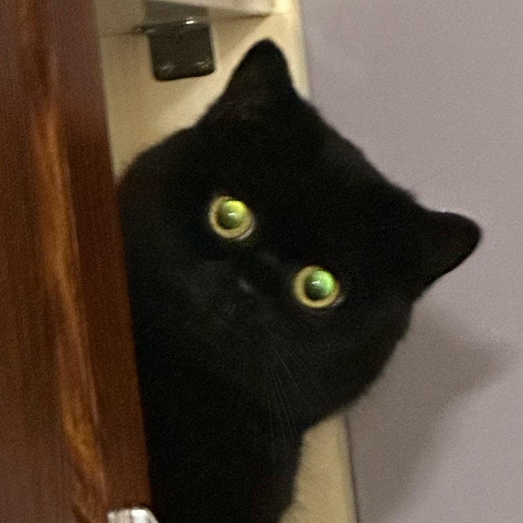 元气少女谢广坤