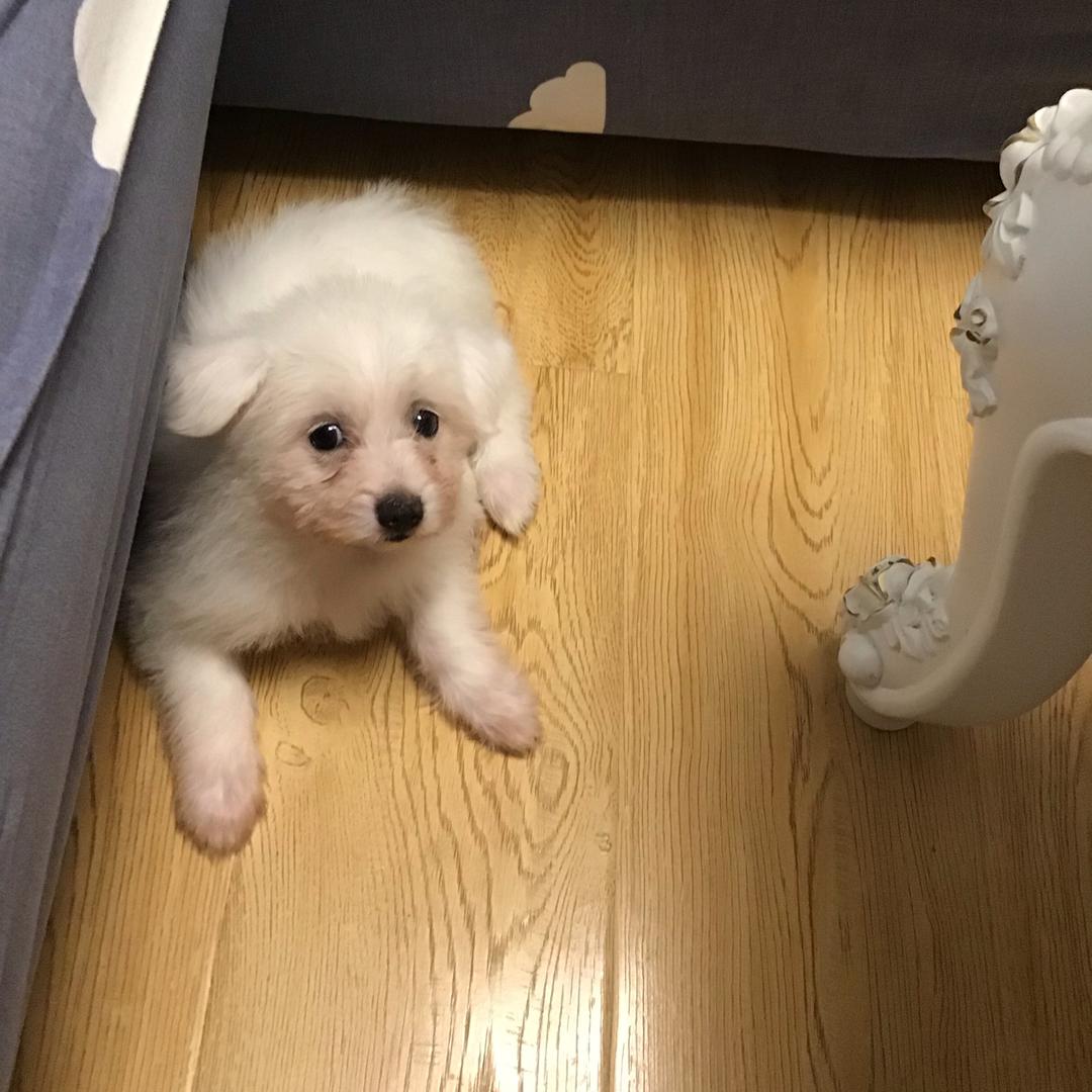 👀快看我把把赢