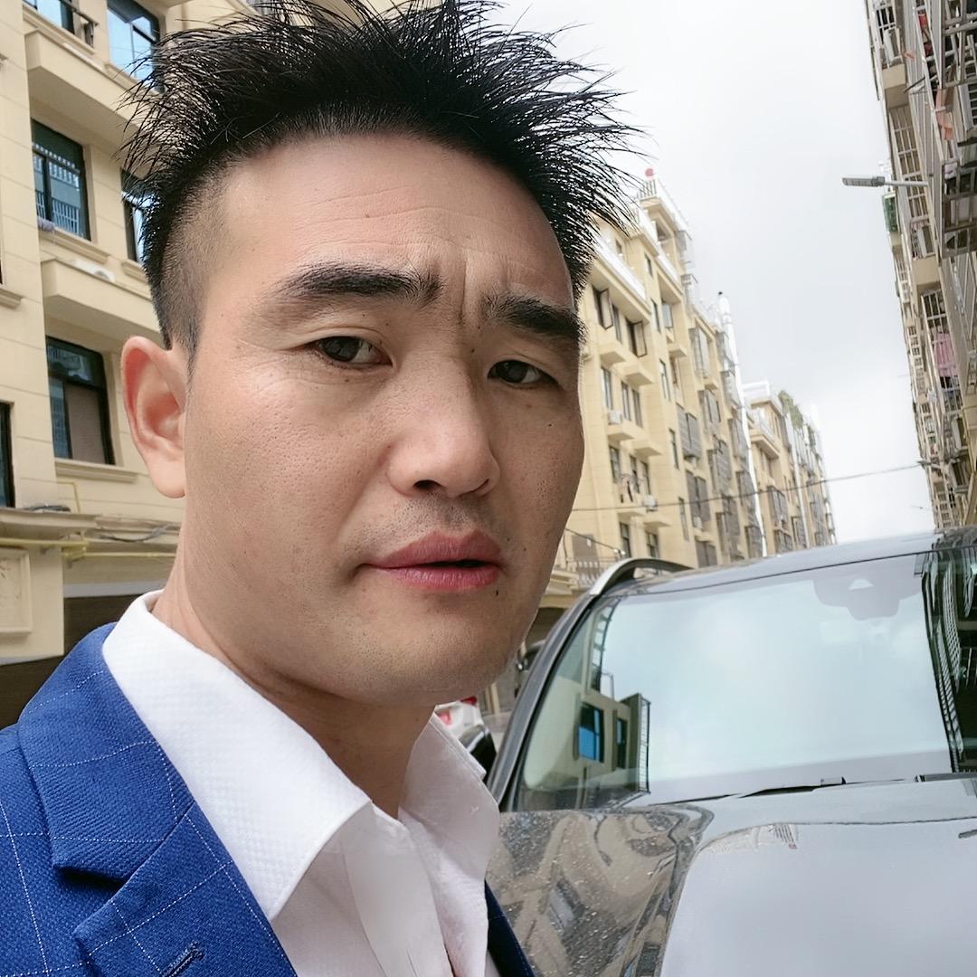 振九龙