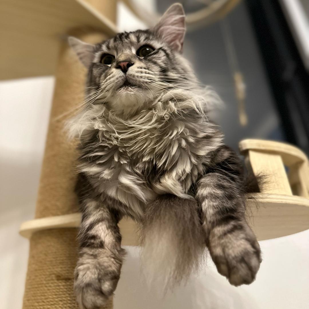 酱油瓶的波比探瑞ᴶʸᴾ