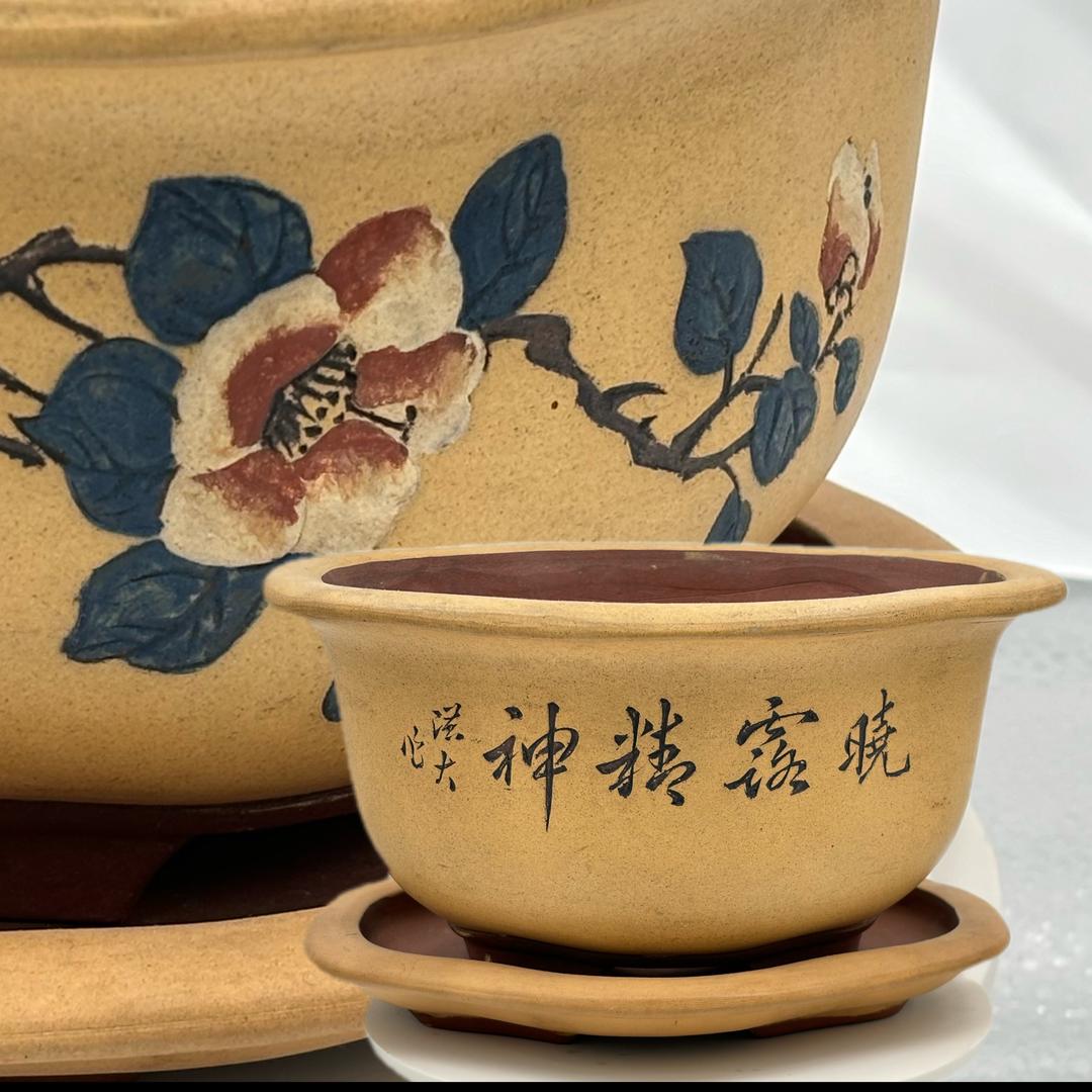 养素院 - 老盆古盆