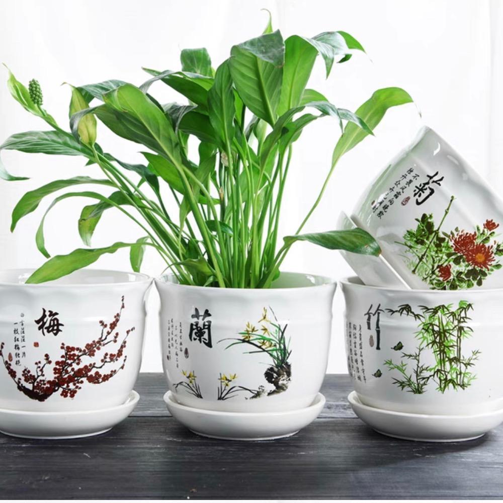 沐沐花盆