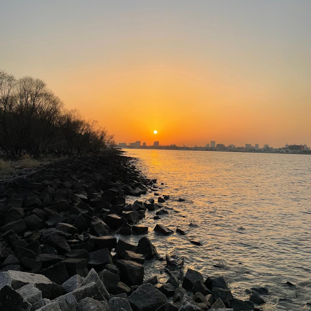 好网名都被猪取了