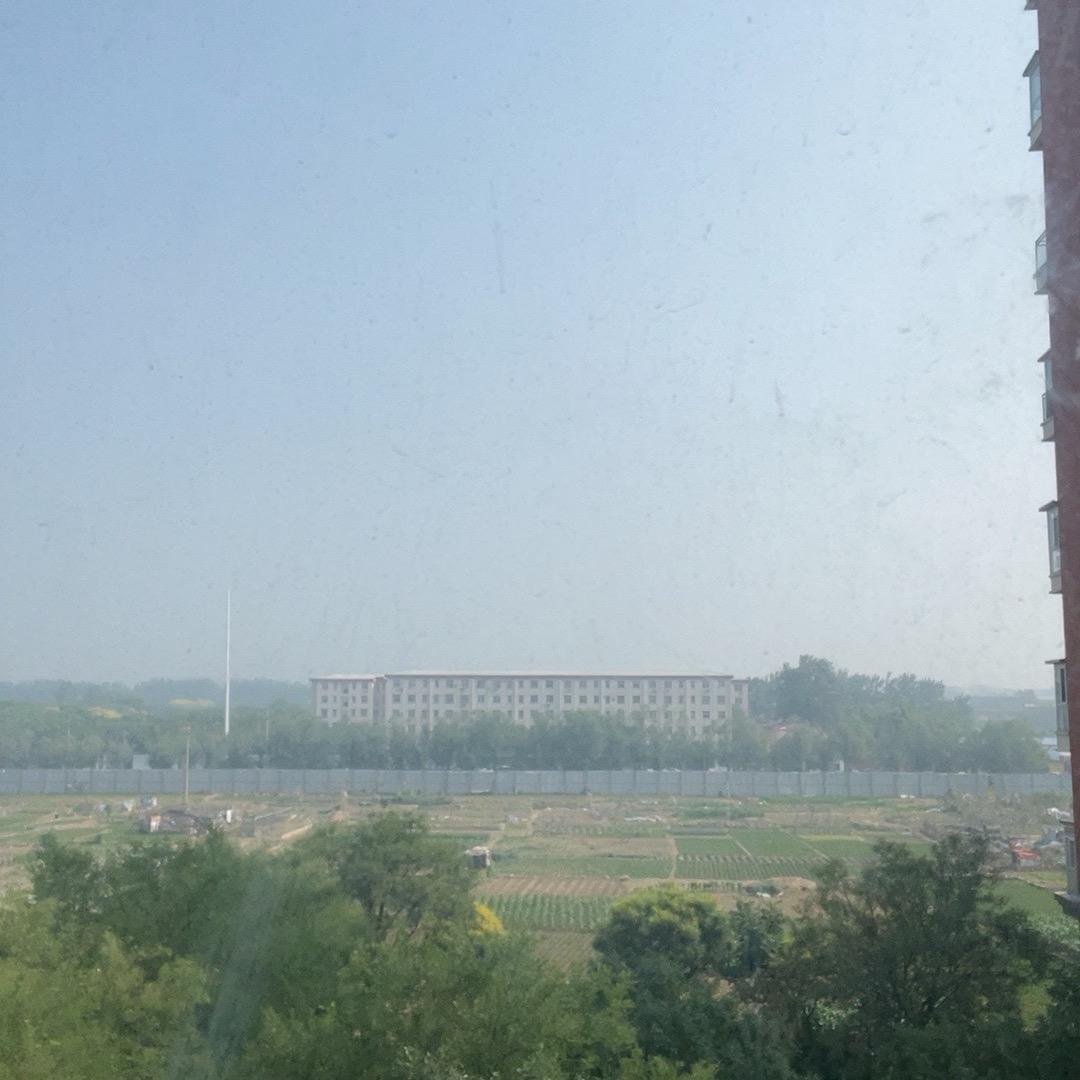 悦悦
