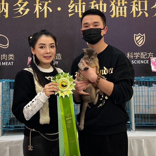 喵宠妳直男宠物专卖店