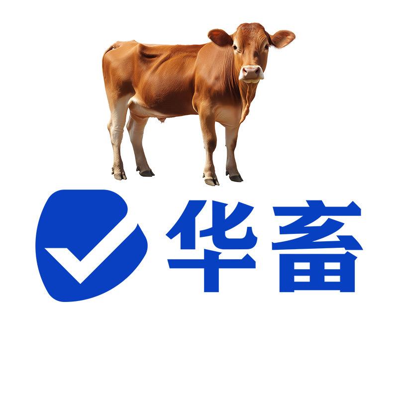 华畜牛羊知识分享