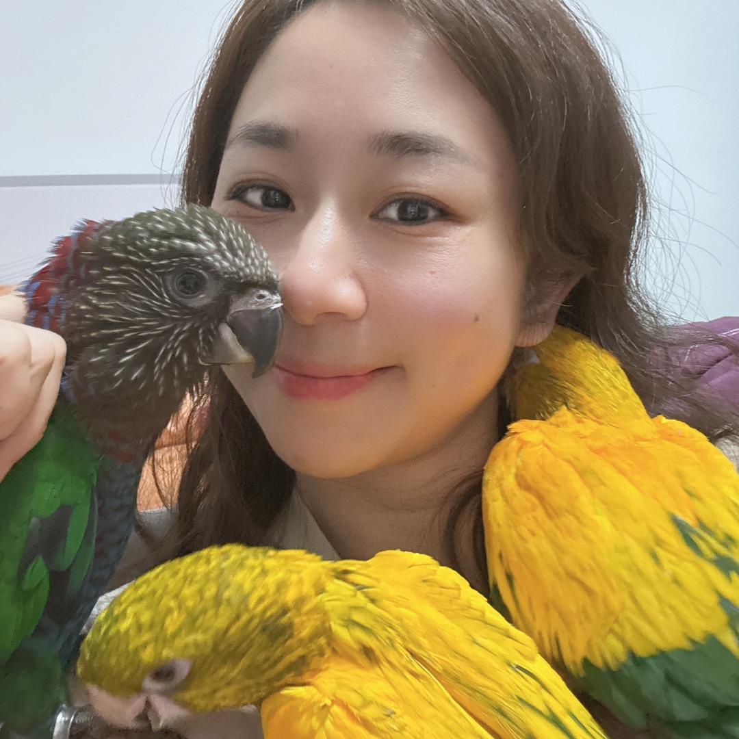 鹦淘萌宠🦜