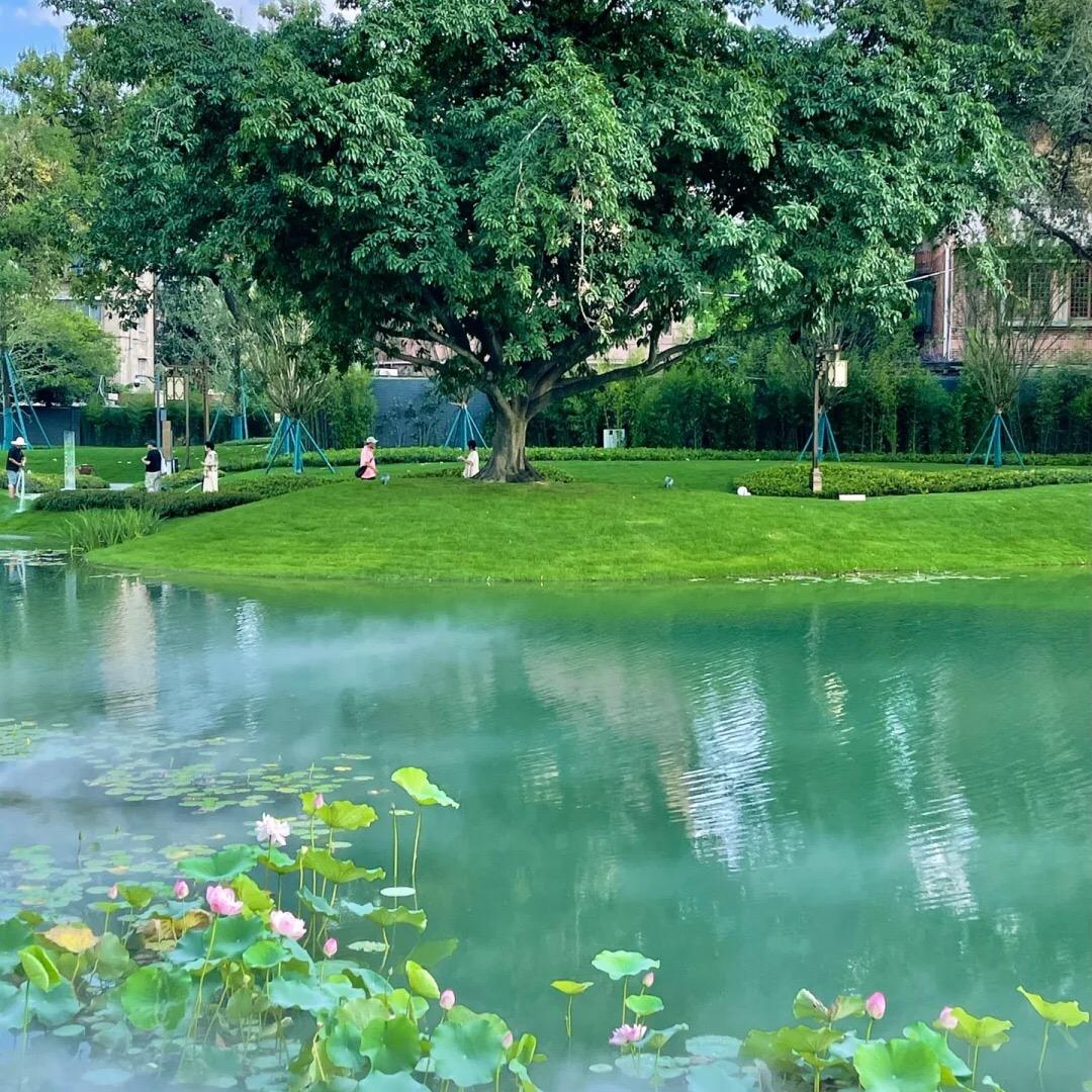 Hc麻将秘籍a22