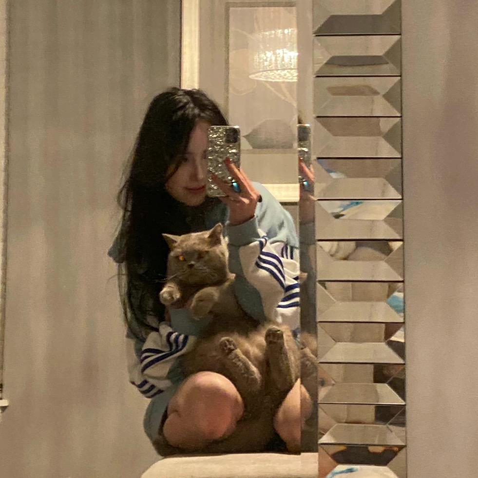 北极兔最可爱