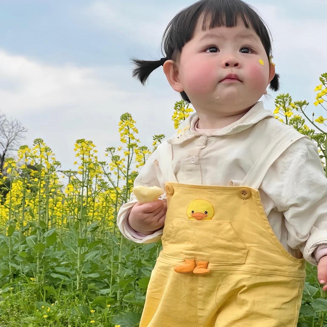朱朱a