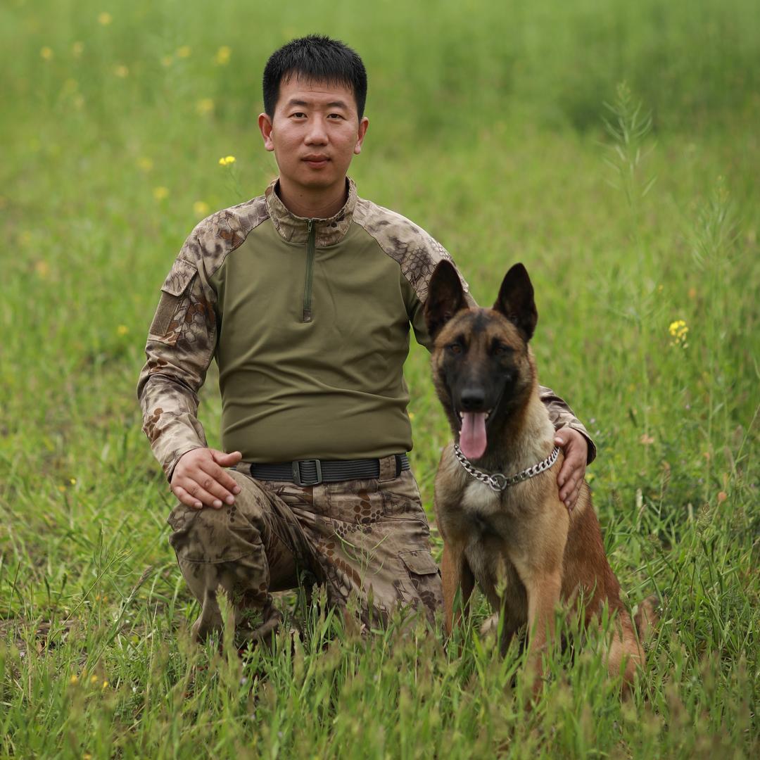 河北冬青马犬繁训基地