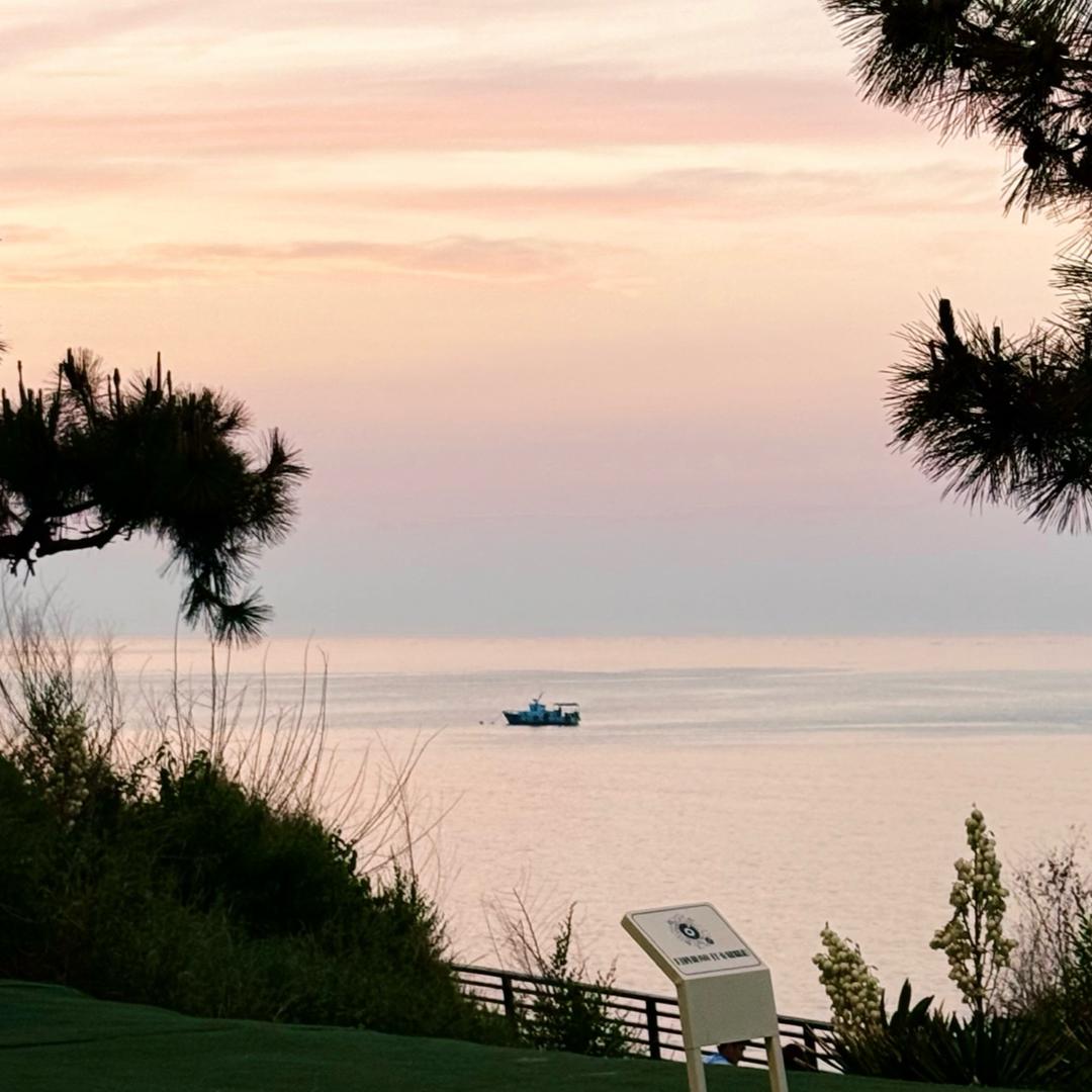 没有太阳的午后