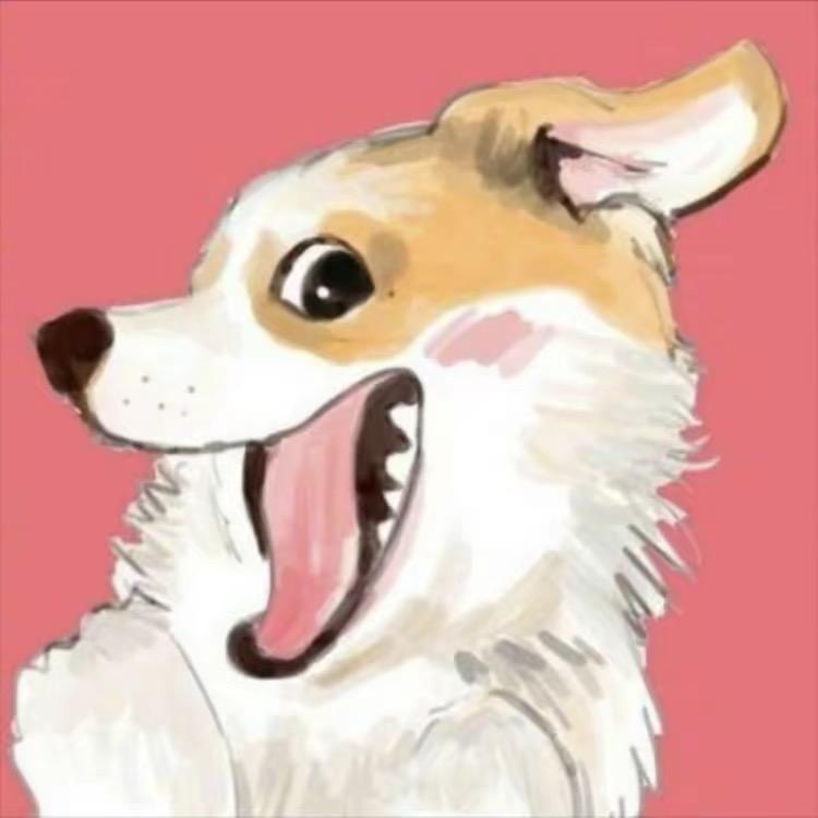 海狗玩游戏