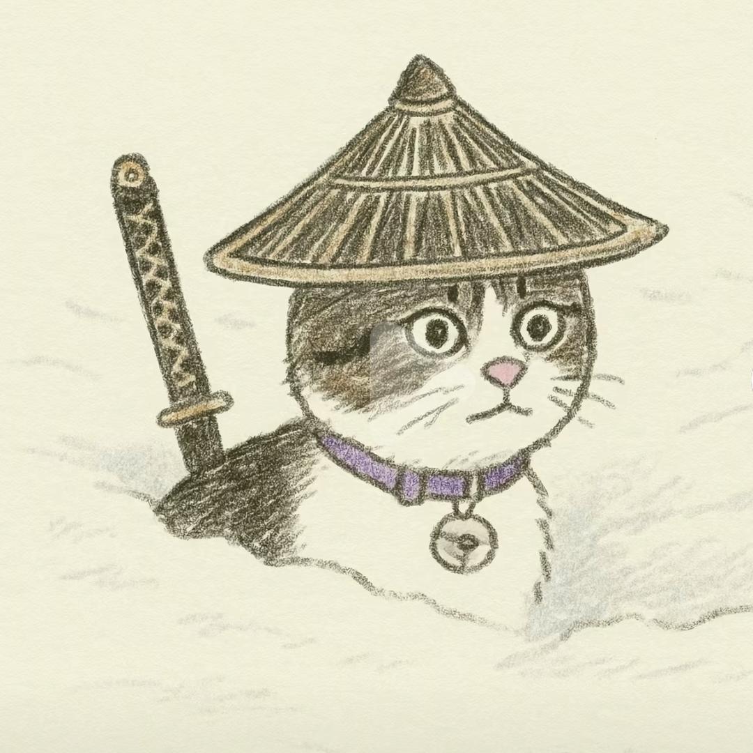 是赵悟空呀❤️