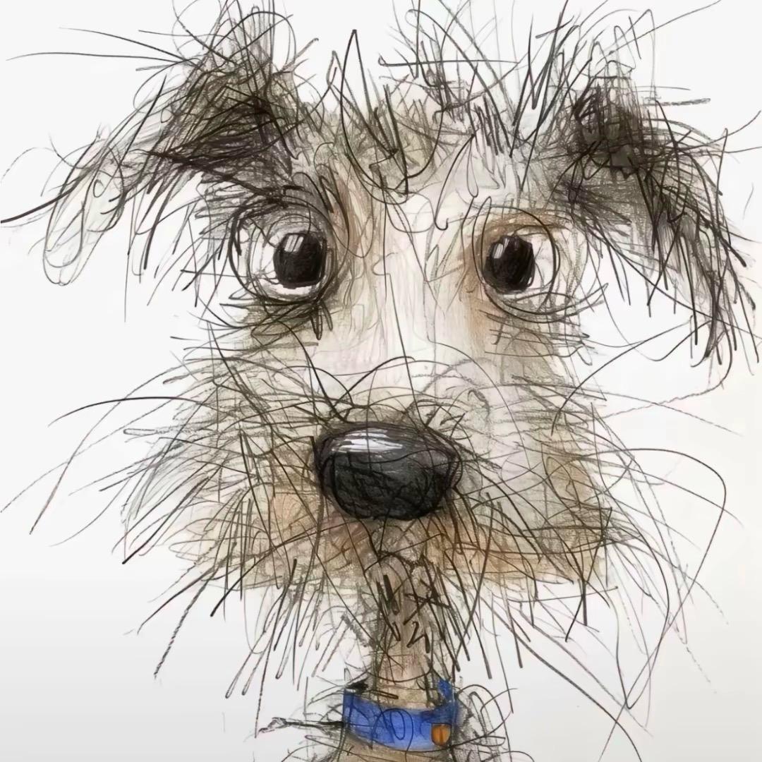 别害怕不是好人