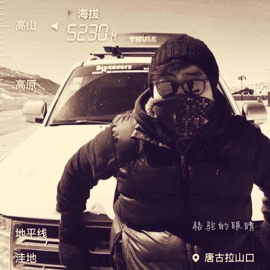 骆驼的眼睛