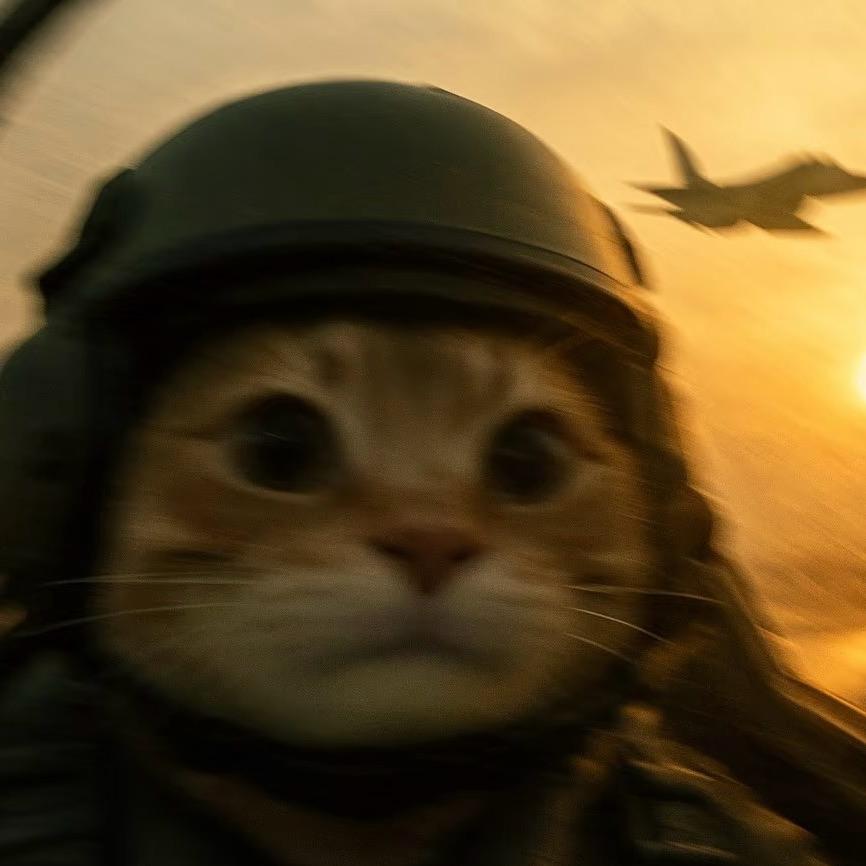 菜狗子爱吃香菜