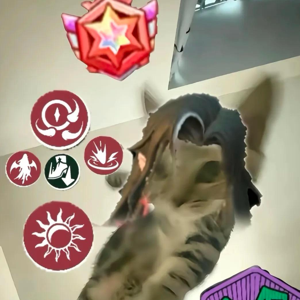 缘義