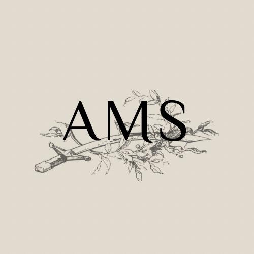 AMS高定制女包