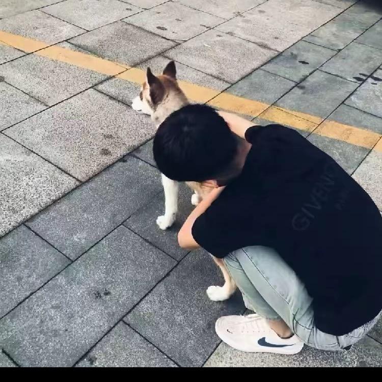 沧州印刷包装