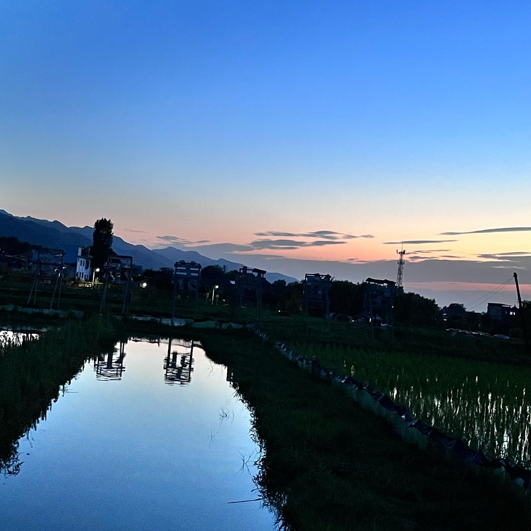 五彩缤纷