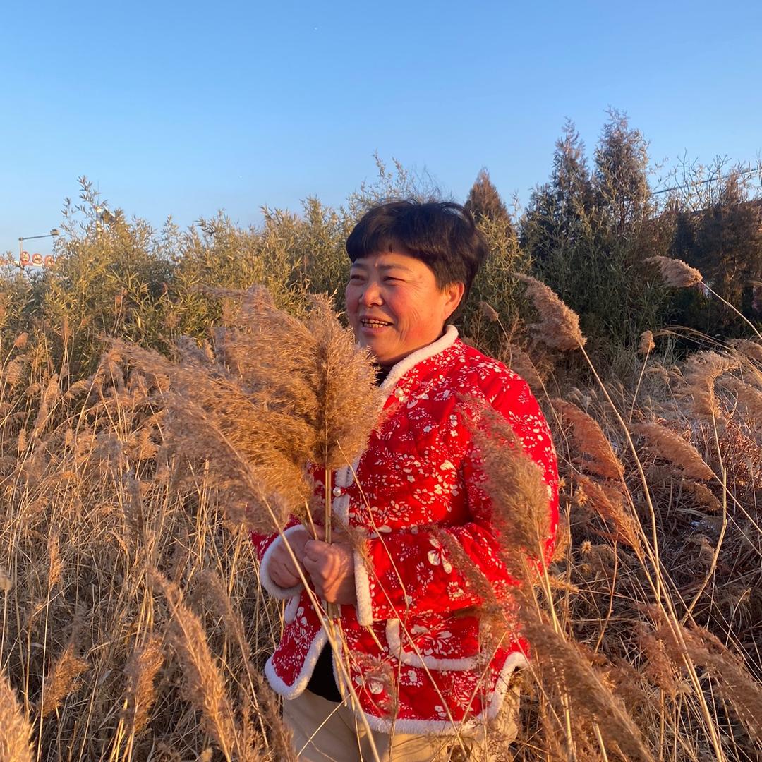 哇塞姥姥