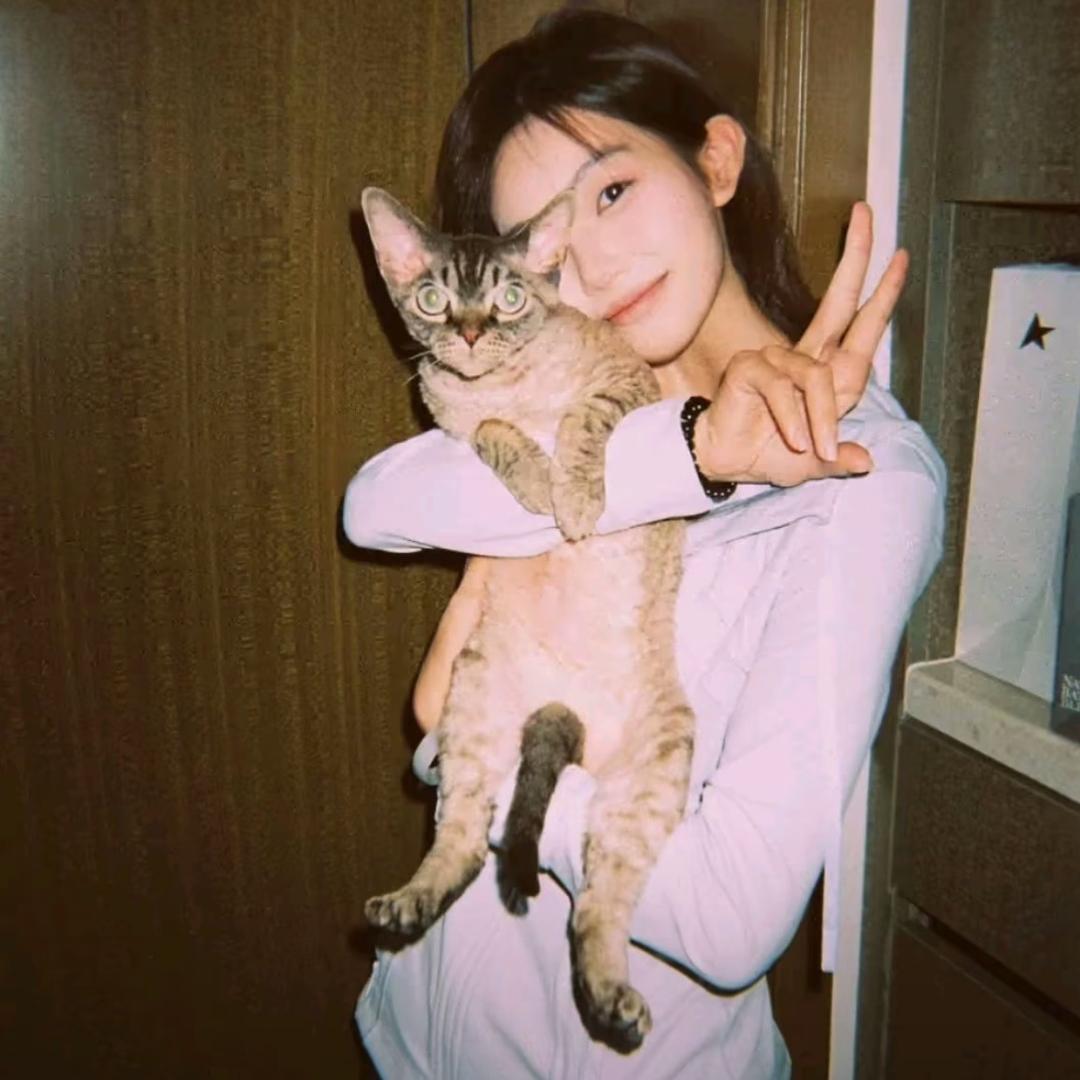 季ㅤ