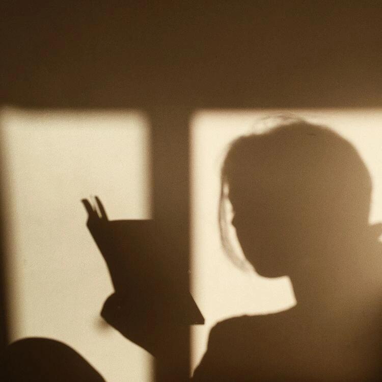 冬青书单