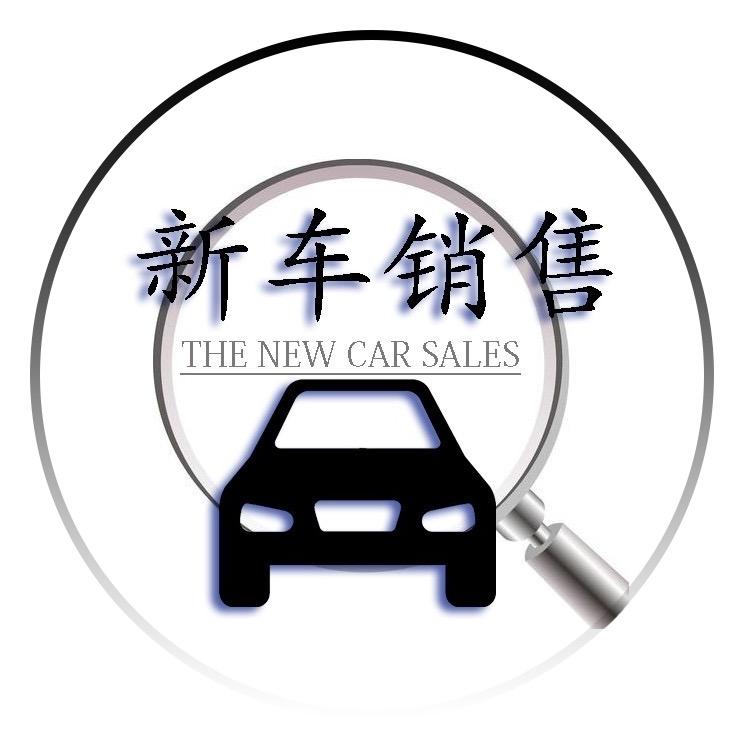 天天买车