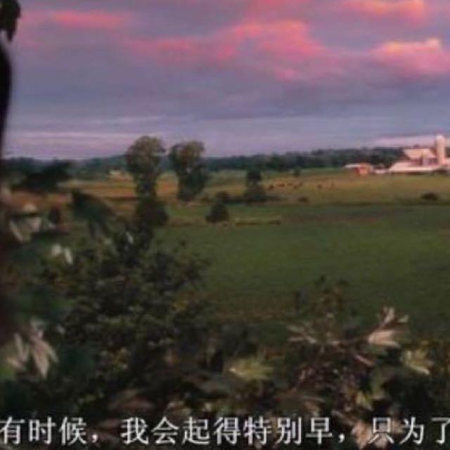路飞文S碎碎念