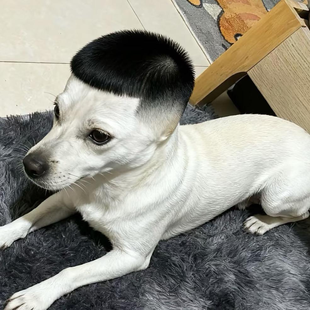 🥄