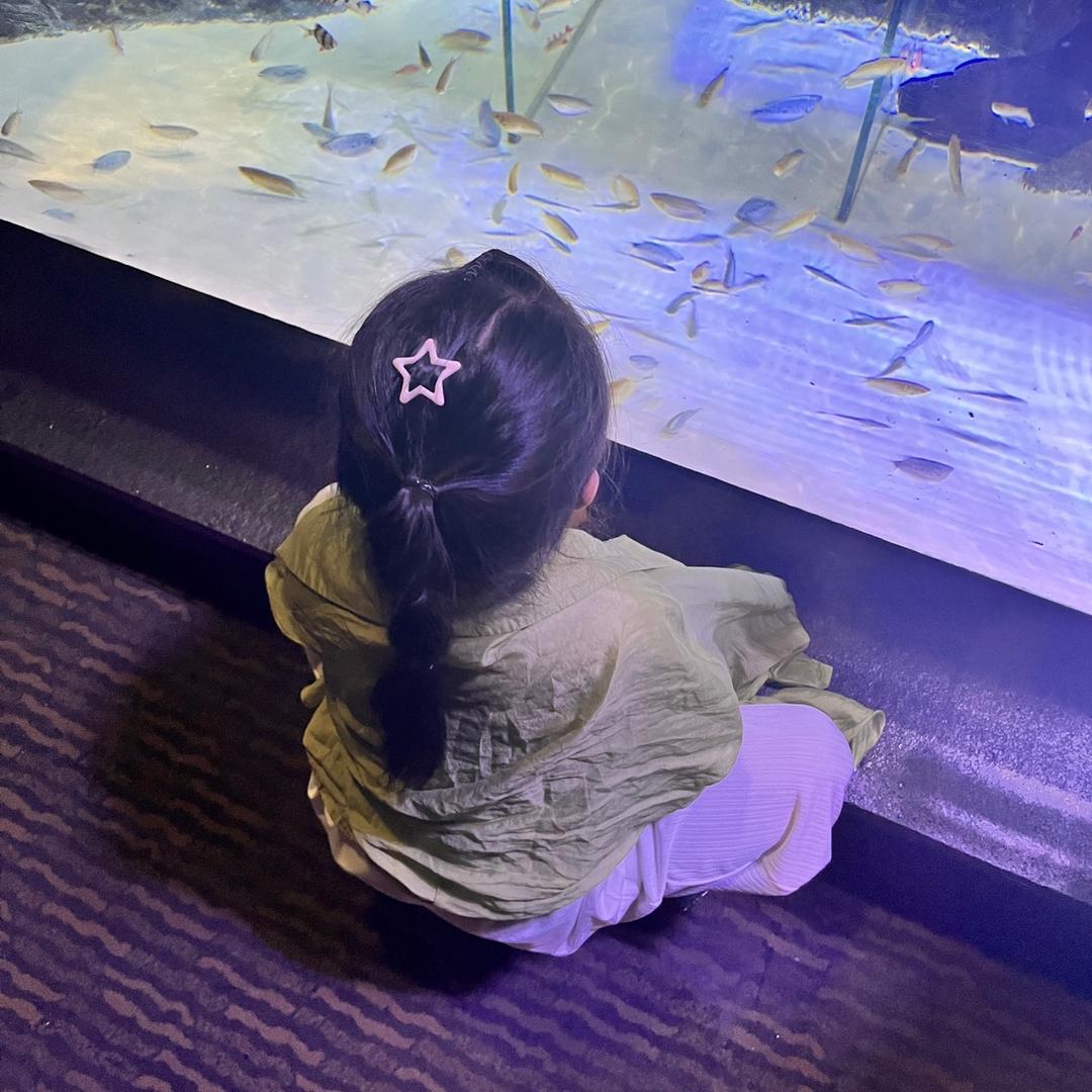 A哆啦A梦的口袋魔法