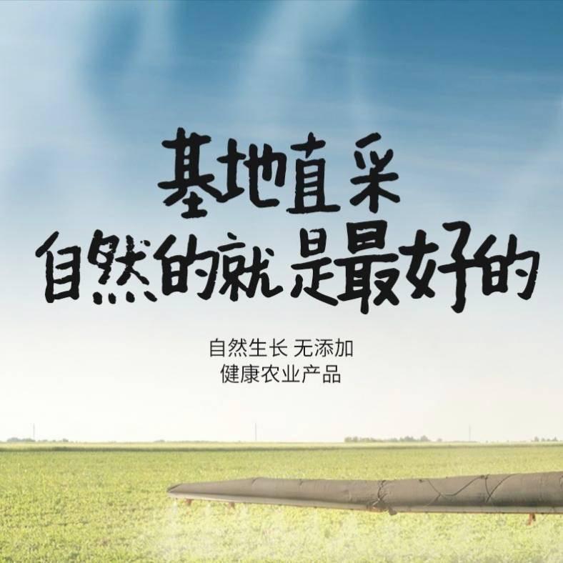 罗田德彪在务农