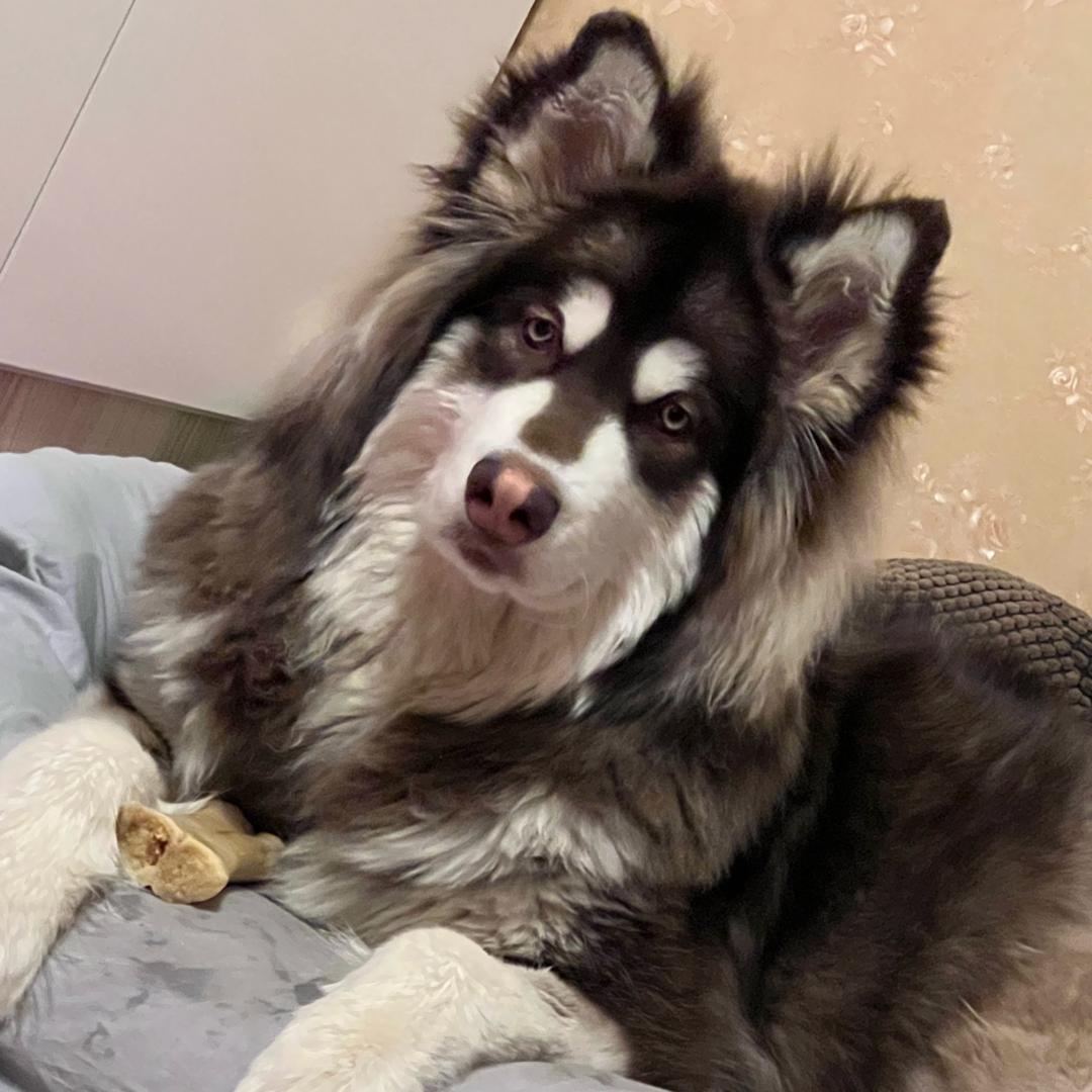 今天小李没熬夜