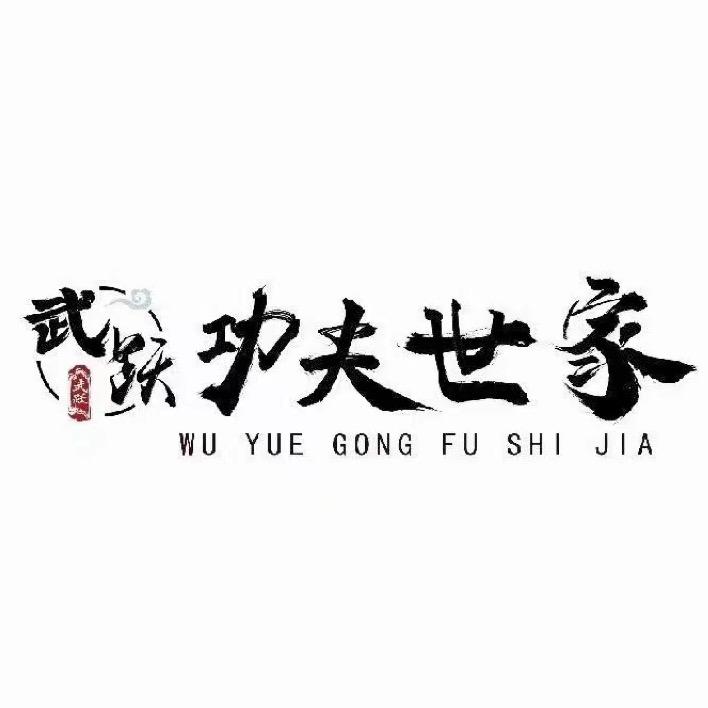 功夫世家武术馆(中街盾安店)官方号