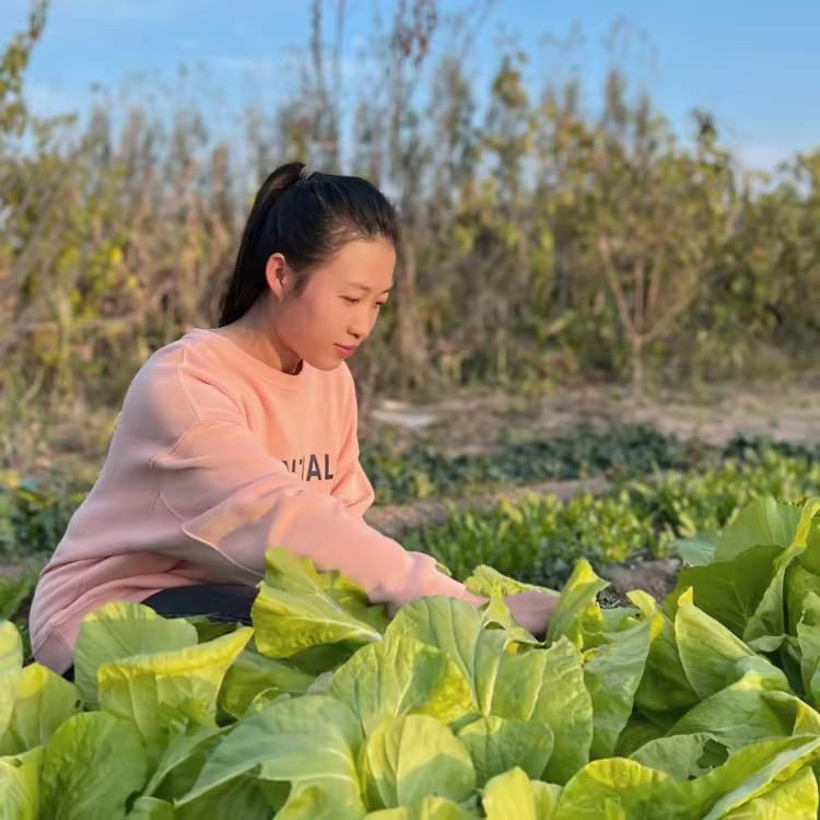 蕾蕾的肥肥