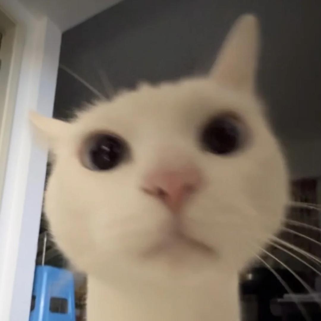 什么脆脆鲨