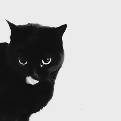 愤怒溏心蛋14727