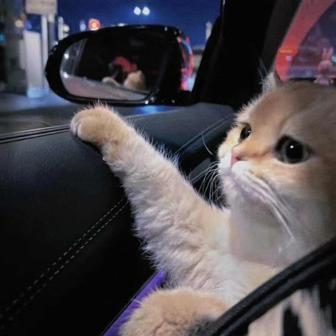 出头天