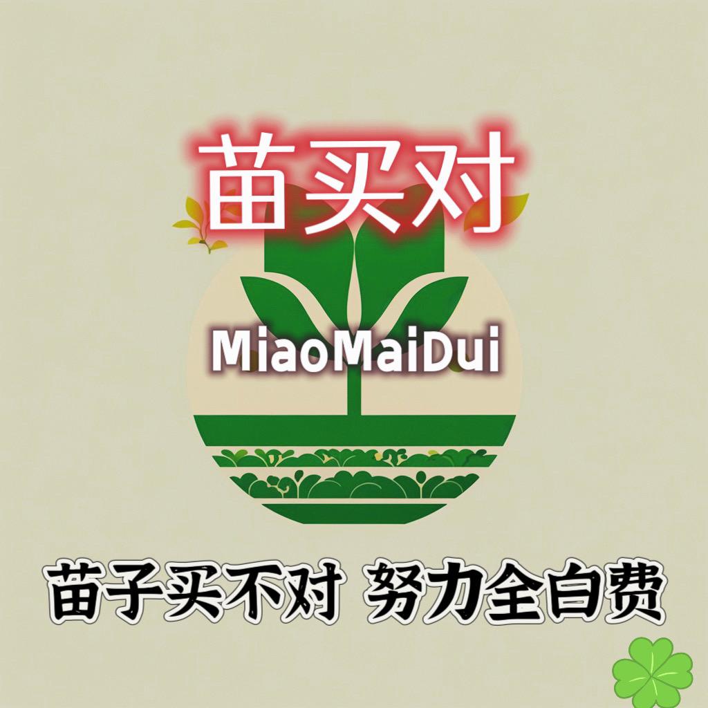 苗买对（宿豫本地号）