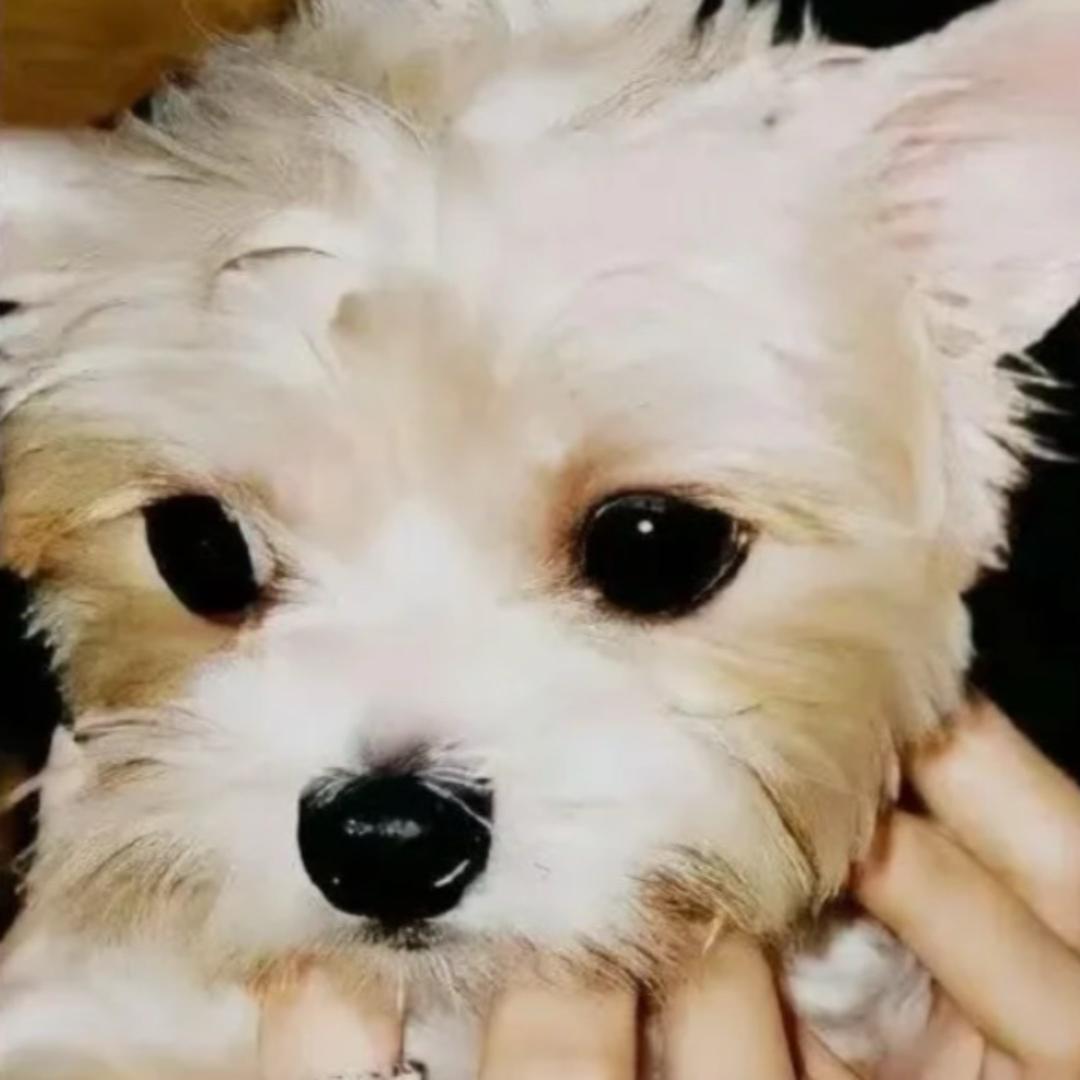 亦寒’