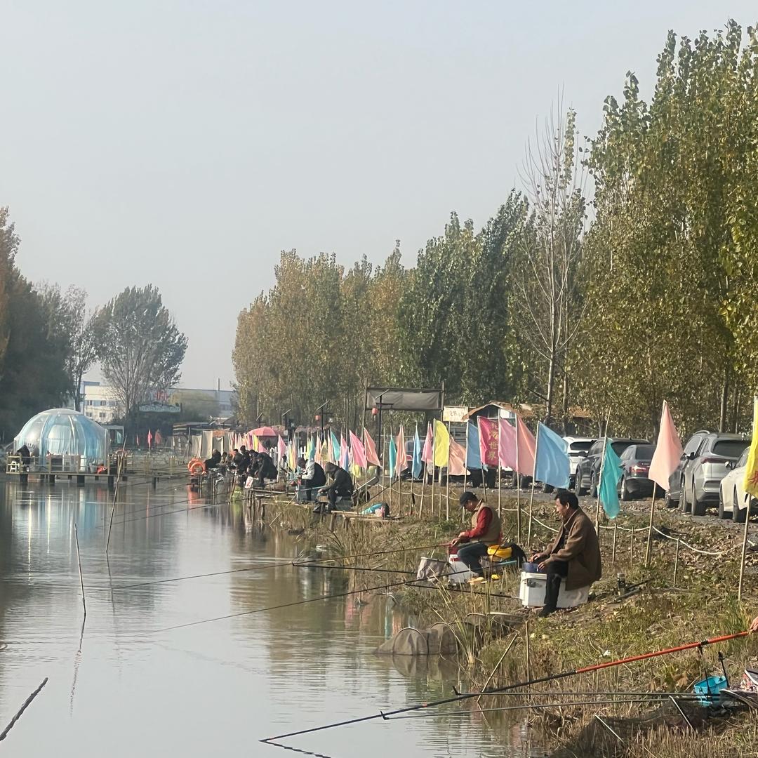 七里海花海世界直播