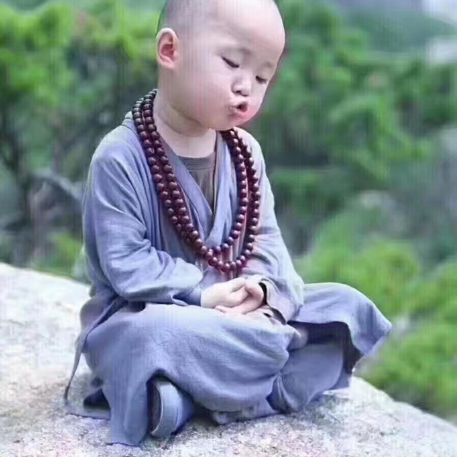 毛童童🙏🙏🙏