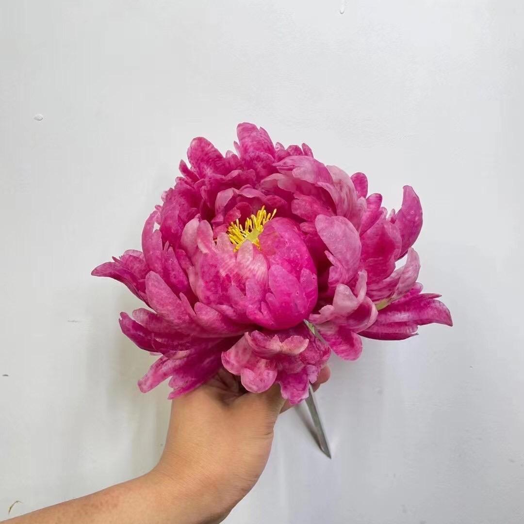 人生就是富人玩穷人的游戏