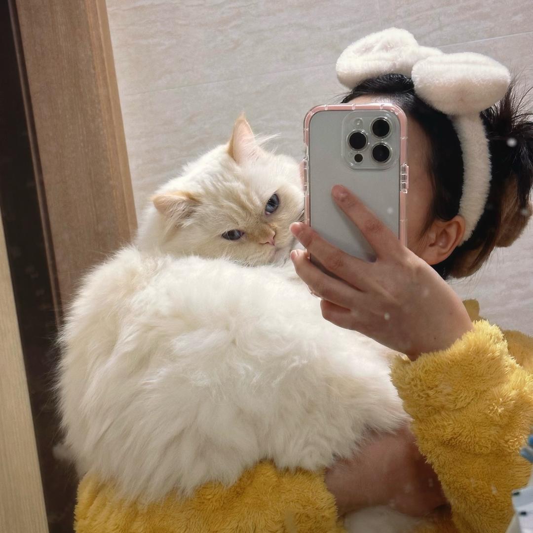 凸凸鱼
