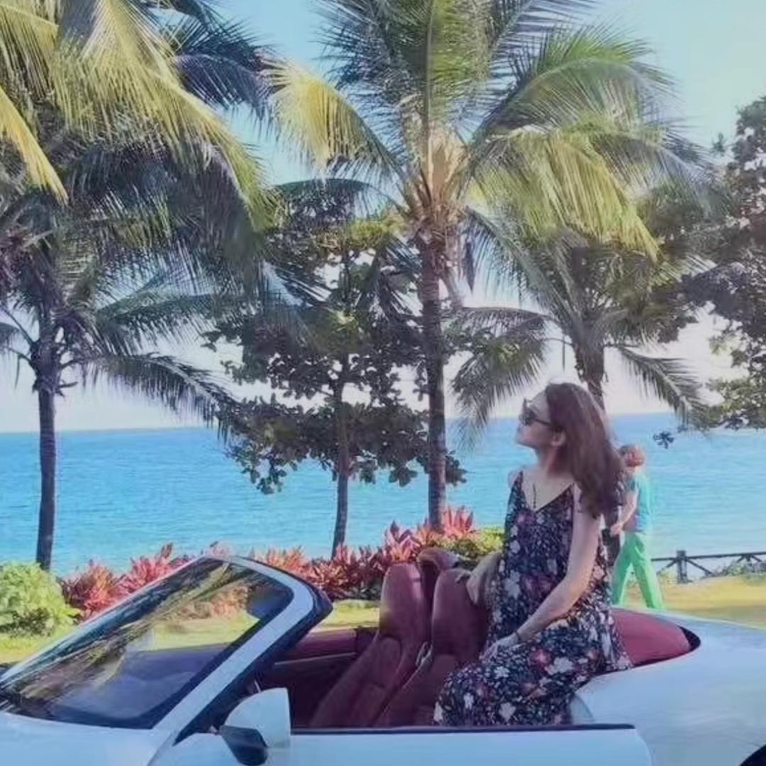 树海集团